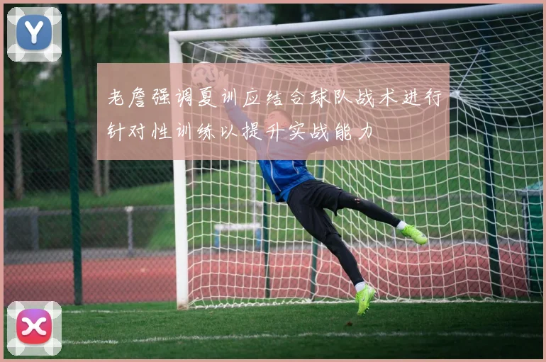 老詹强调夏训应结合球队战术进行针对性训练以提升实战能力